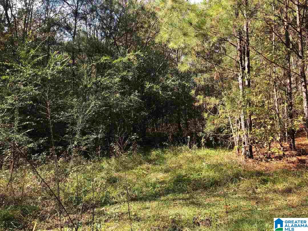 980 Turner Road, Unit ADJOINING PARCELS Anniston, AL 36201 - Photo 8 of 17