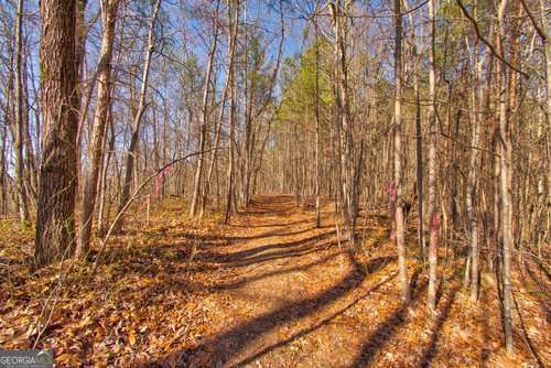 600 Chapman Ridge Lane Murrayville, GA 30564 - Photo 4 of 8 a view of backyard with wooden fence