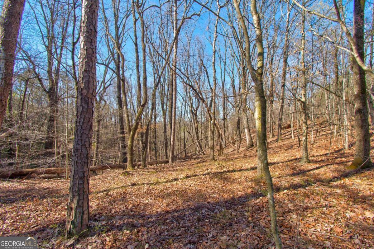 600 Chapman Ridge Lane Murrayville, GA 30564 - Photo 5 of 8 a view of wooden fence