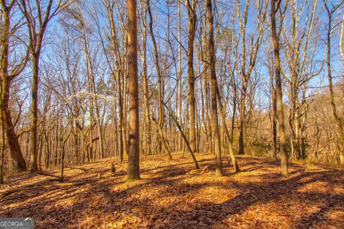 600 Chapman Ridge Lane Murrayville, GA 30564 - Photo 7 of 8 a backyard of a house with a shaded area