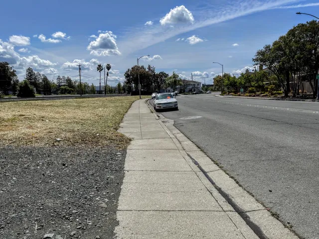 a view of a yard with potted plants