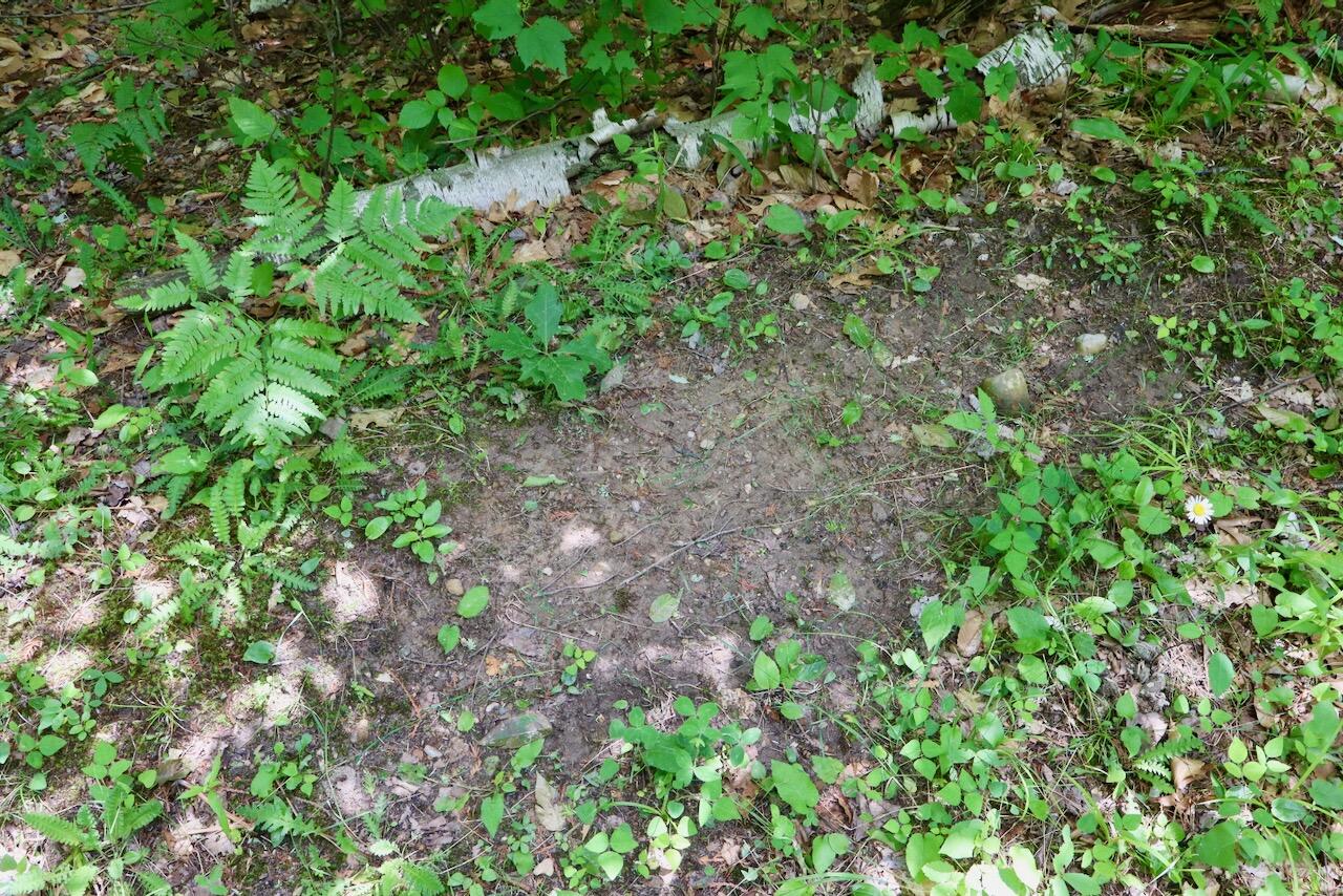 6182 Hamilton Road Harrison, MI 48625 - Photo 8 of 77