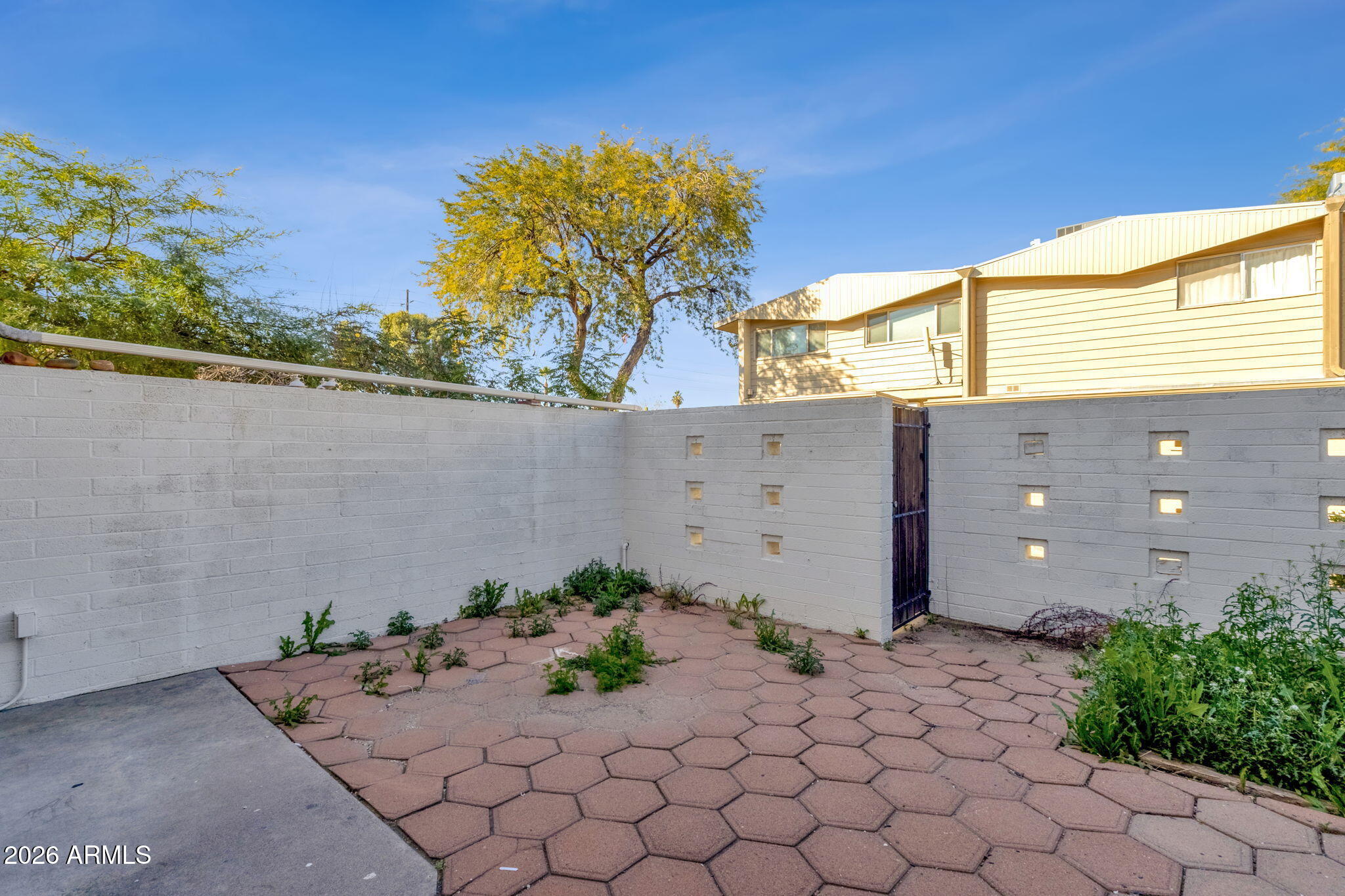 815 North Hayden Road, Unit B14 Scottsdale, AZ 85257 - Photo 18 of 23 Patio Yard