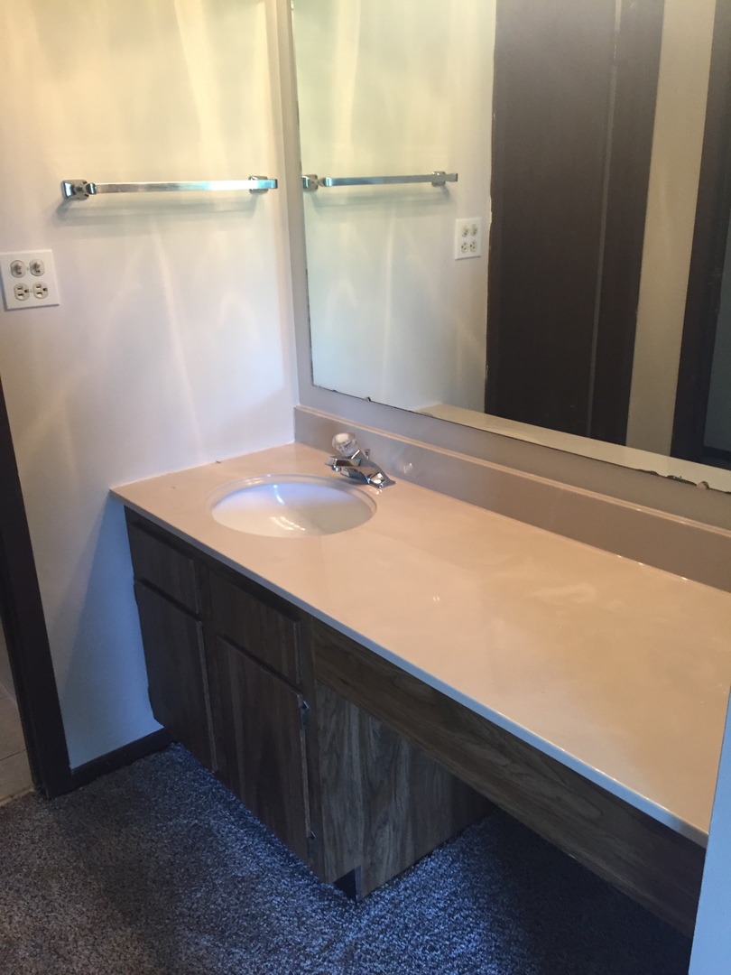 855 Johnstown Lane, Unit B Wheaton, IL 60189 - Photo 9 of 10 a bathroom with a sink and a mirror