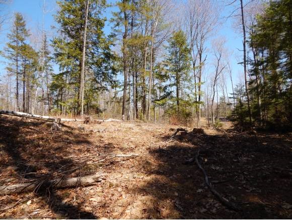 Lot 21 Christopher Road Newport, NH 03773 - Photo 1 of 1