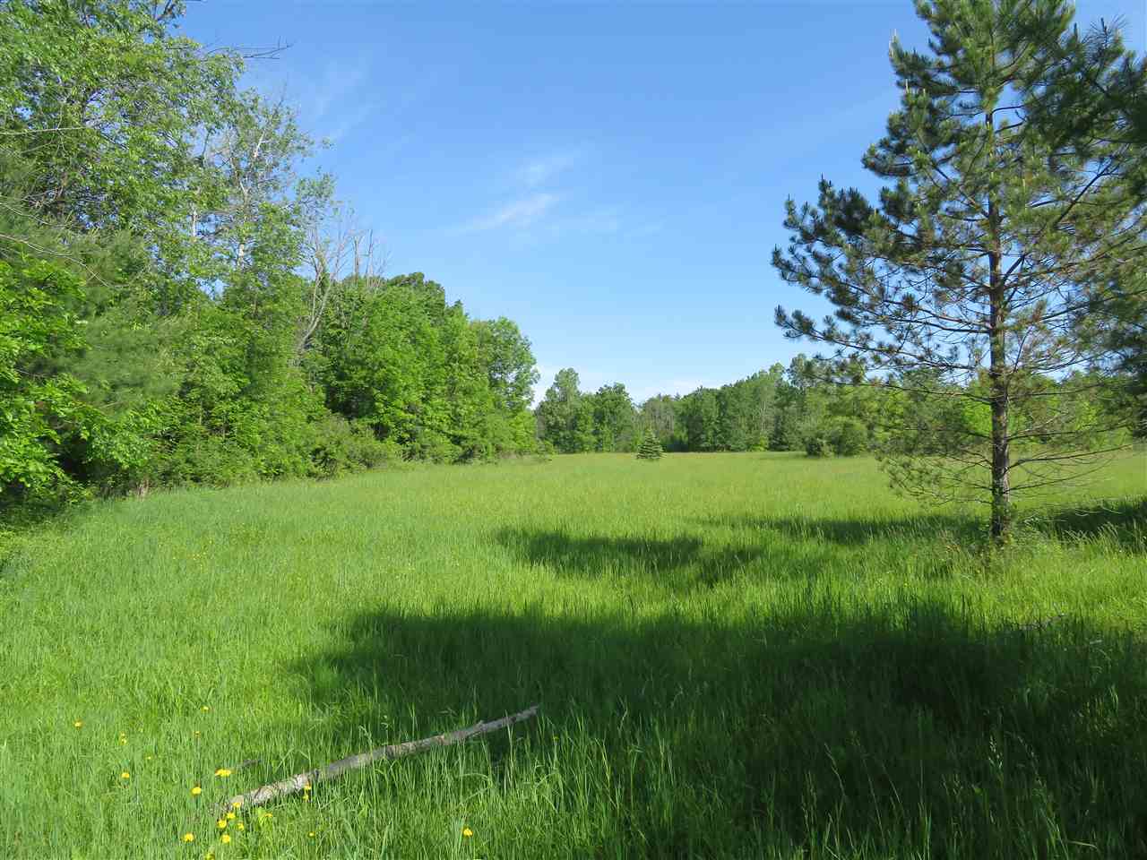 0 Howell Road Otter Lake, MI 48464 - Photo 4 of 9