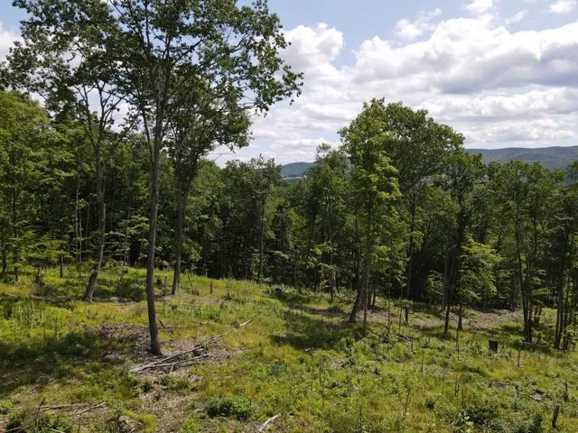 $315,000 | 0 Denio Road, St. Johnsbury, VT 05819