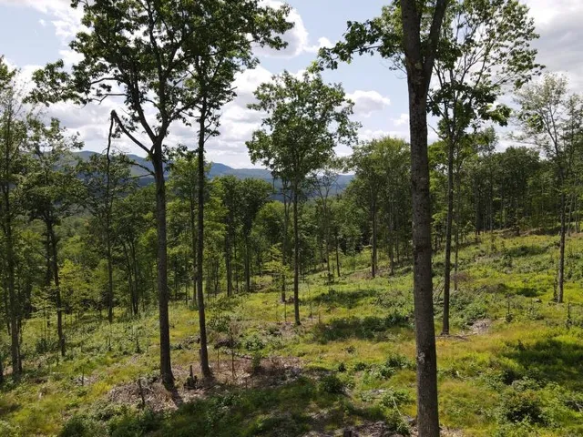 $315,000 | 0 Denio Road, St. Johnsbury, VT 05819