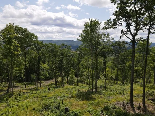 $315,000 | 0 Denio Road, St. Johnsbury, VT 05819