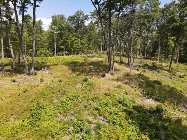 $315,000 | 0 Denio Road, St. Johnsbury, VT 05819