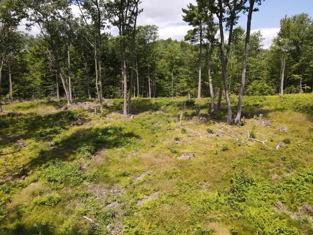 $315,000 | 0 Denio Road, St. Johnsbury, VT 05819