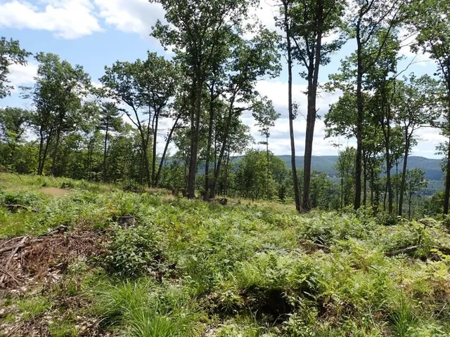 $315,000 | 0 Denio Road, St. Johnsbury, VT 05819