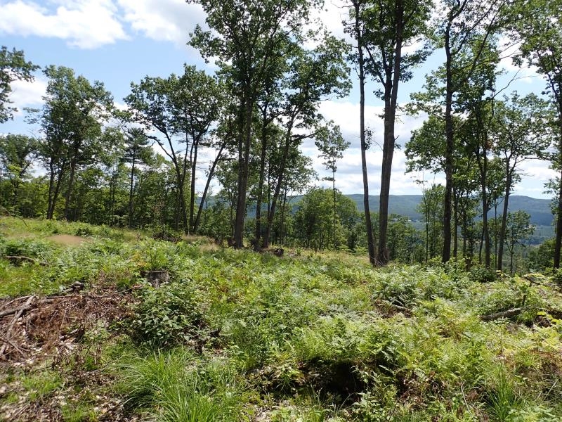 0 Denio Road St. Johnsbury, VT 05819 - Photo 17 of 21