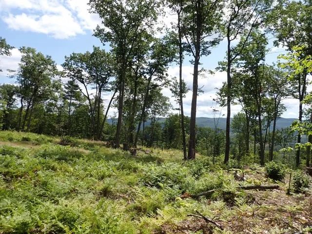 $315,000 | 0 Denio Road, St. Johnsbury, VT 05819