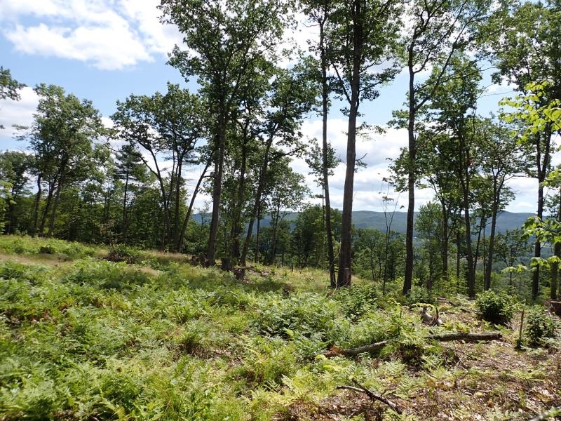 0 Denio Road St. Johnsbury, VT 05819 - Photo 18 of 21