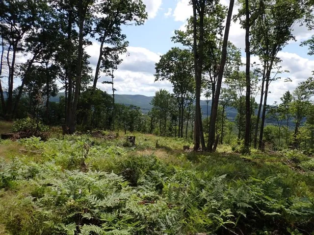 $315,000 | 0 Denio Road, St. Johnsbury, VT 05819