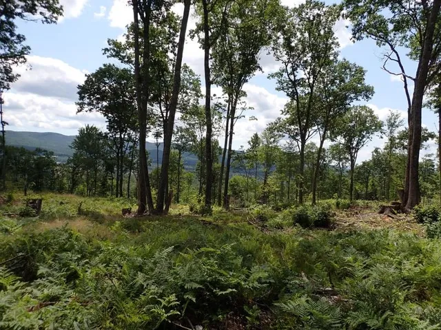 $315,000 | 0 Denio Road, St. Johnsbury, VT 05819