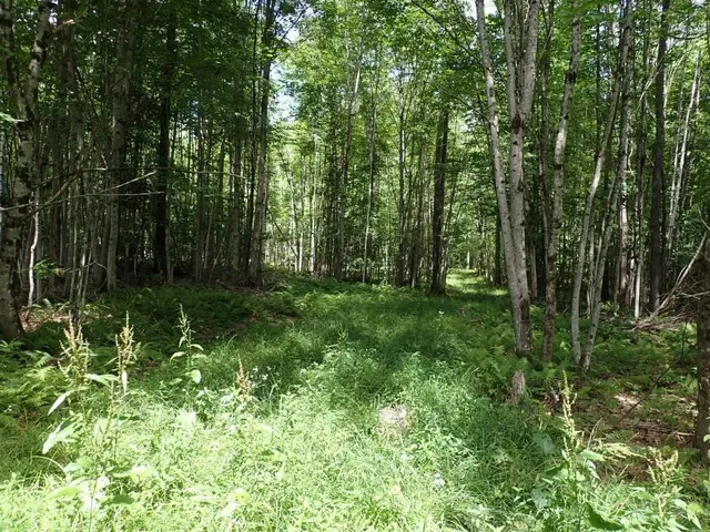 $315,000 | 0 Denio Road, St. Johnsbury, VT 05819