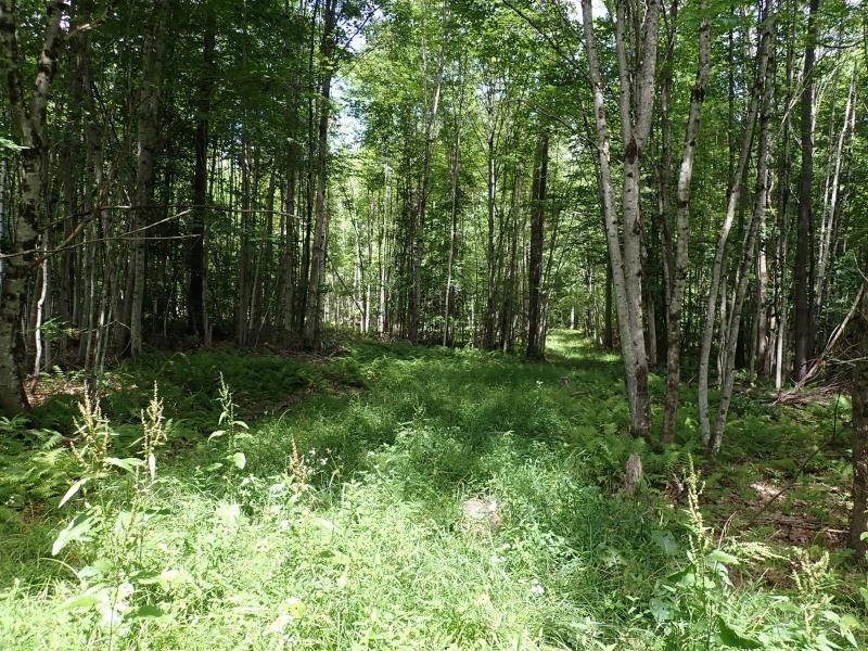 0 Denio Road St. Johnsbury, VT 05819 - Photo 4 of 21