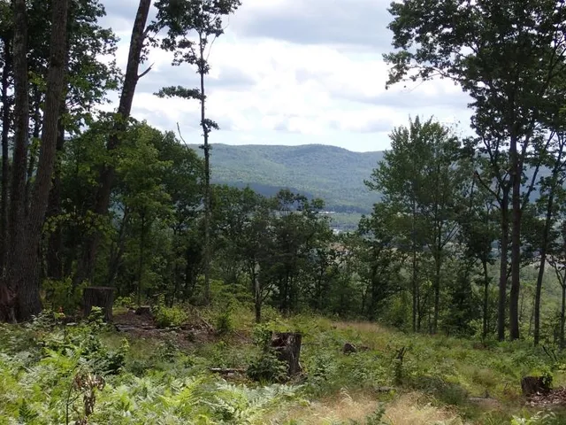 $315,000 | 0 Denio Road, St. Johnsbury, VT 05819