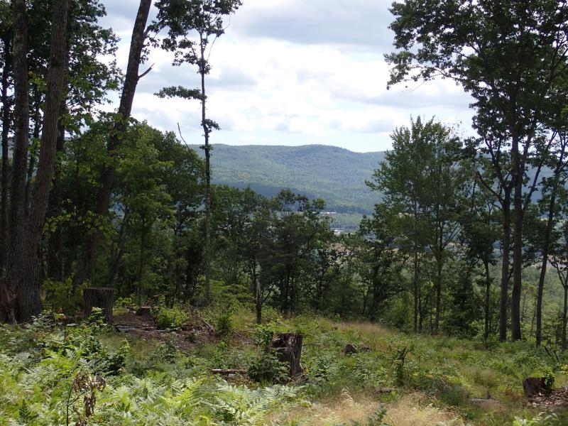 0 Denio Road St. Johnsbury, VT 05819 - Photo 5 of 21