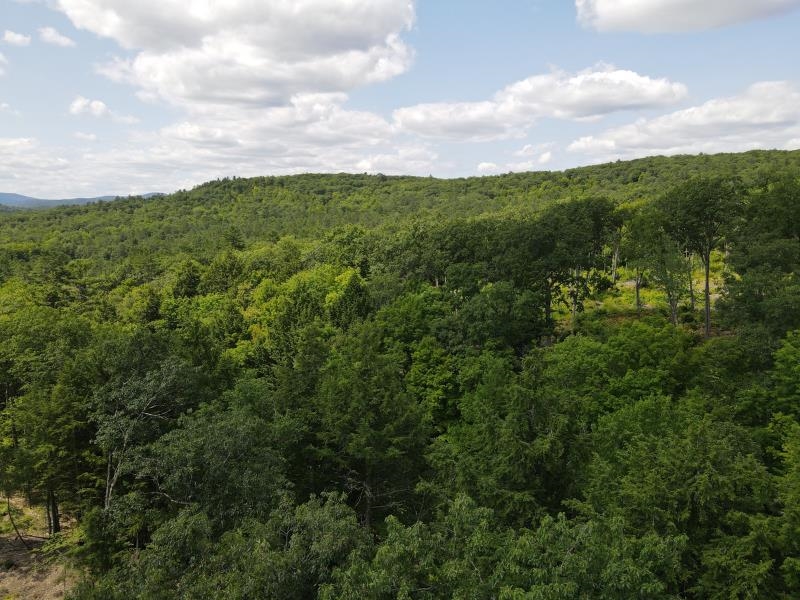 0 Denio Road St. Johnsbury, VT 05819 - Photo 9 of 21