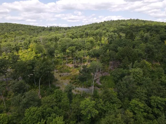 $315,000 | 0 Denio Road, St. Johnsbury, VT 05819