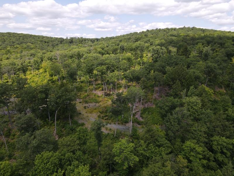 0 Denio Road St. Johnsbury, VT 05819 - Photo 10 of 21