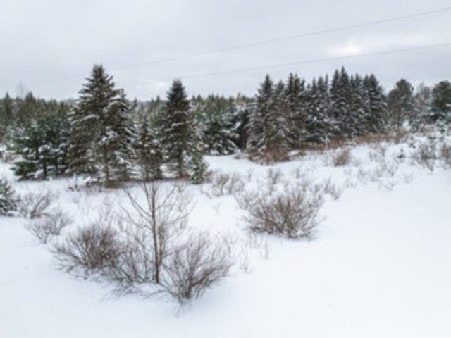 Tbd Traverse Road Thompsonville, MI 49683 - Photo 38 of 40