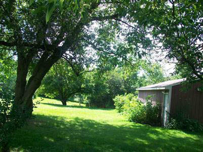 3439 North Washburn Road Davison, MI 48423 - Photo 8 of 13 20241068-7.JPG