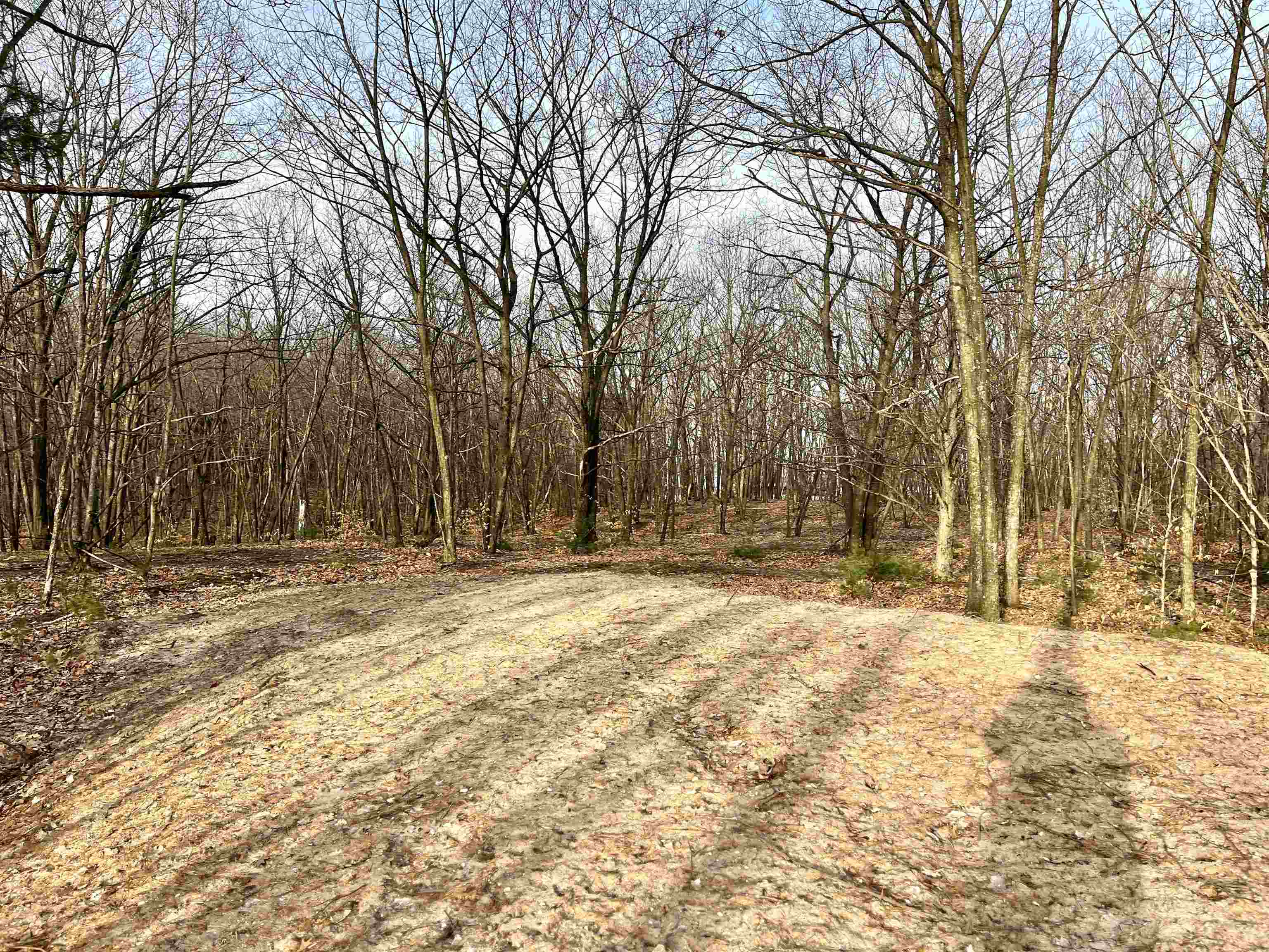 Parcel E West Trumbull Road Maple City, MI 49664 - Photo 13 of 16