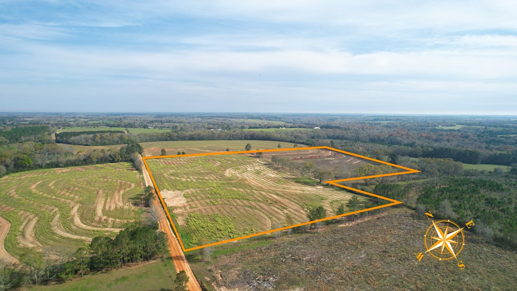 0 Travis Wise Road Samson, AL 36477 - Photo 6 of 21