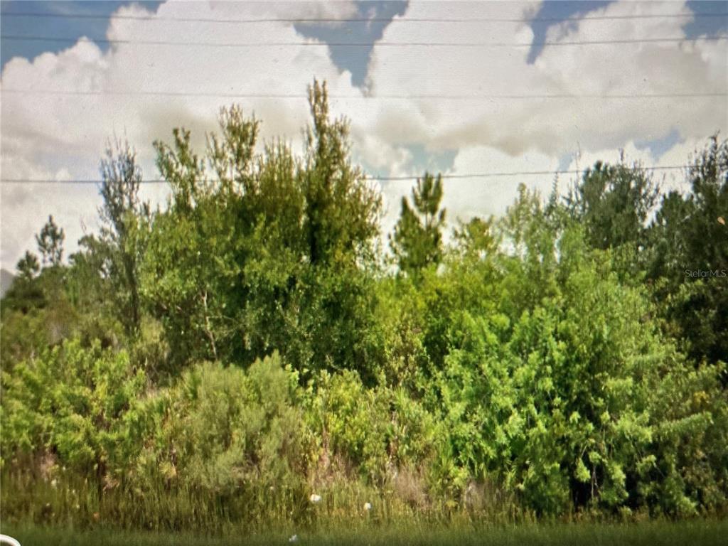 30390 Bermont Road Punta Gorda, FL 33982 - Photo 1 of 1 Gallery Image 1