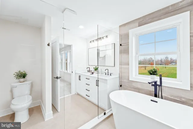 a bathroom with a double vanity sink a toilet a mirror and shower