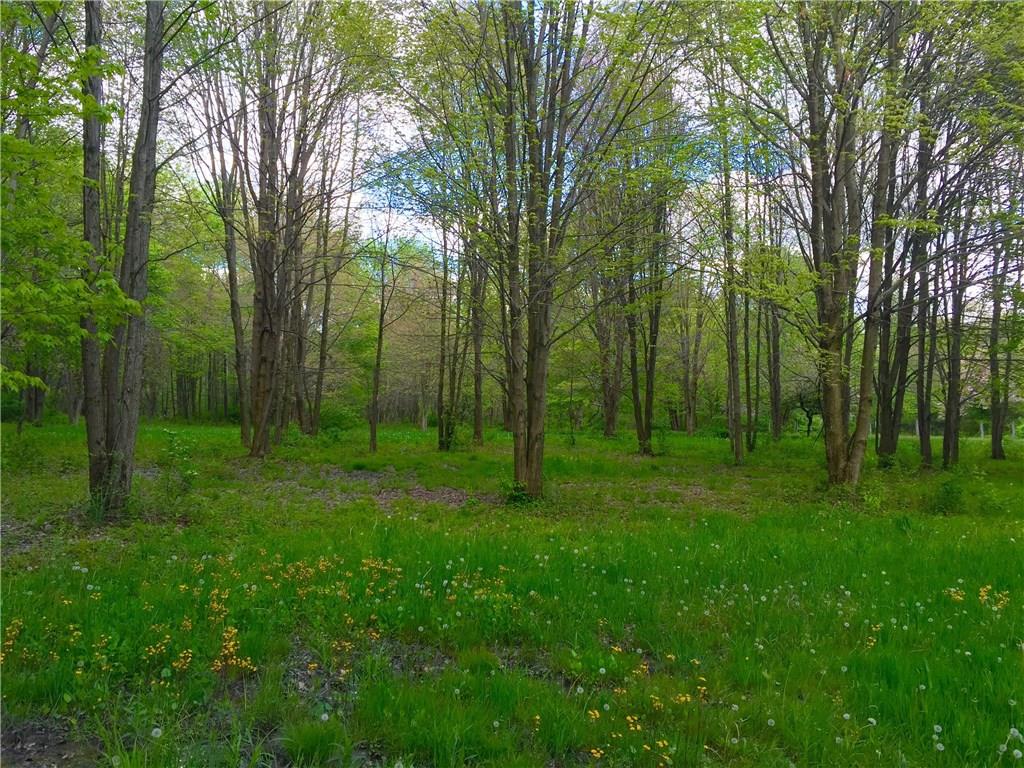 266 South Cottage Road Mercer, PA 16137 - Photo 23 of 25