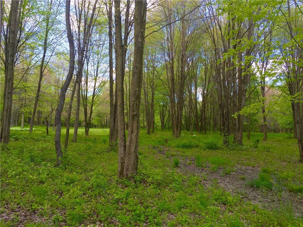 266 South Cottage Road Mercer, PA 16137 - Photo 24 of 25