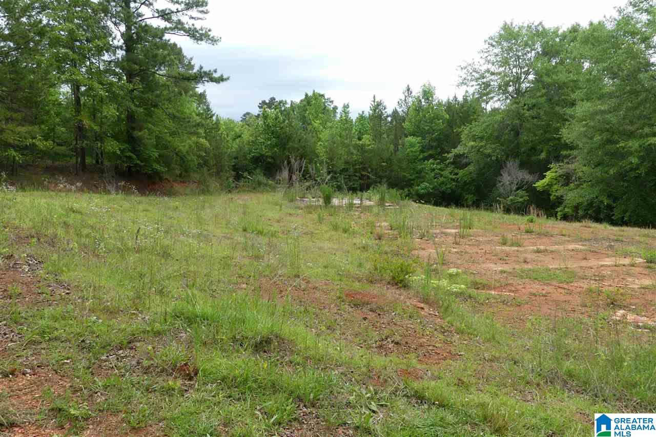 3036 County Road 7 Wedowee, AL 36278 - Photo 9 of 17
