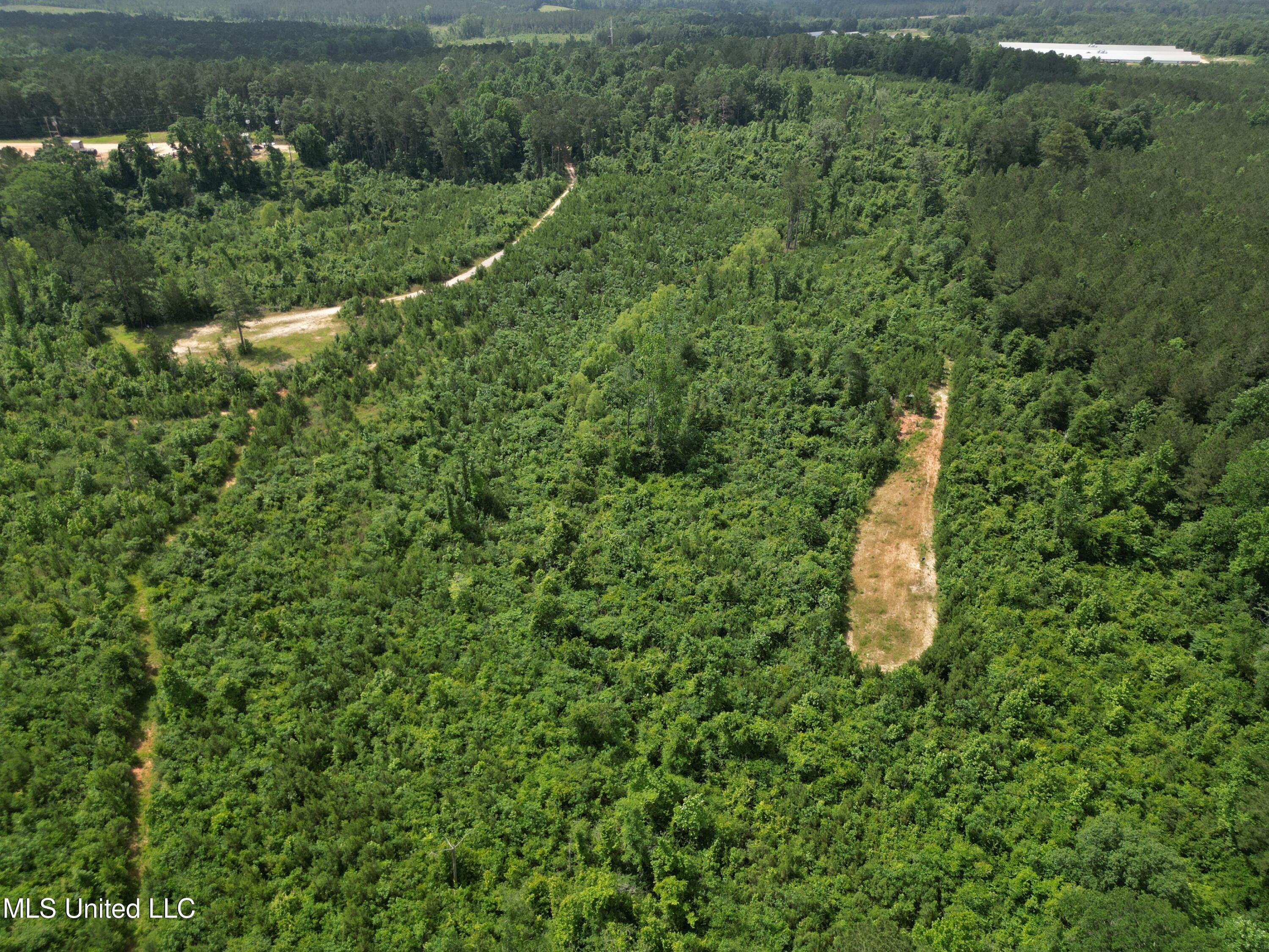 2337 Co Road Bay Springs, MS 39422 - Photo 11 of 26 jones pic 11