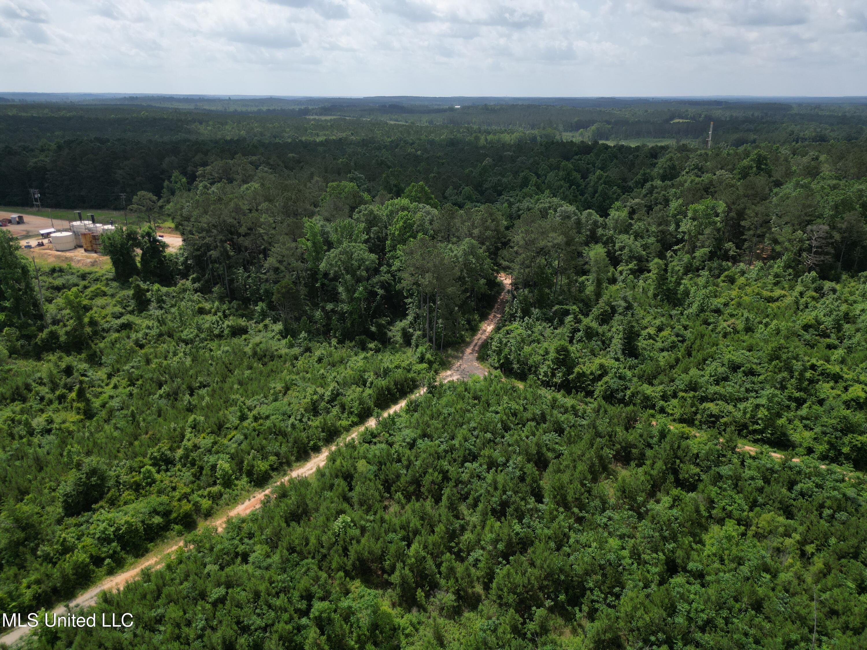 2337 Co Road Bay Springs, MS 39422 - Photo 12 of 26 jones pic 12