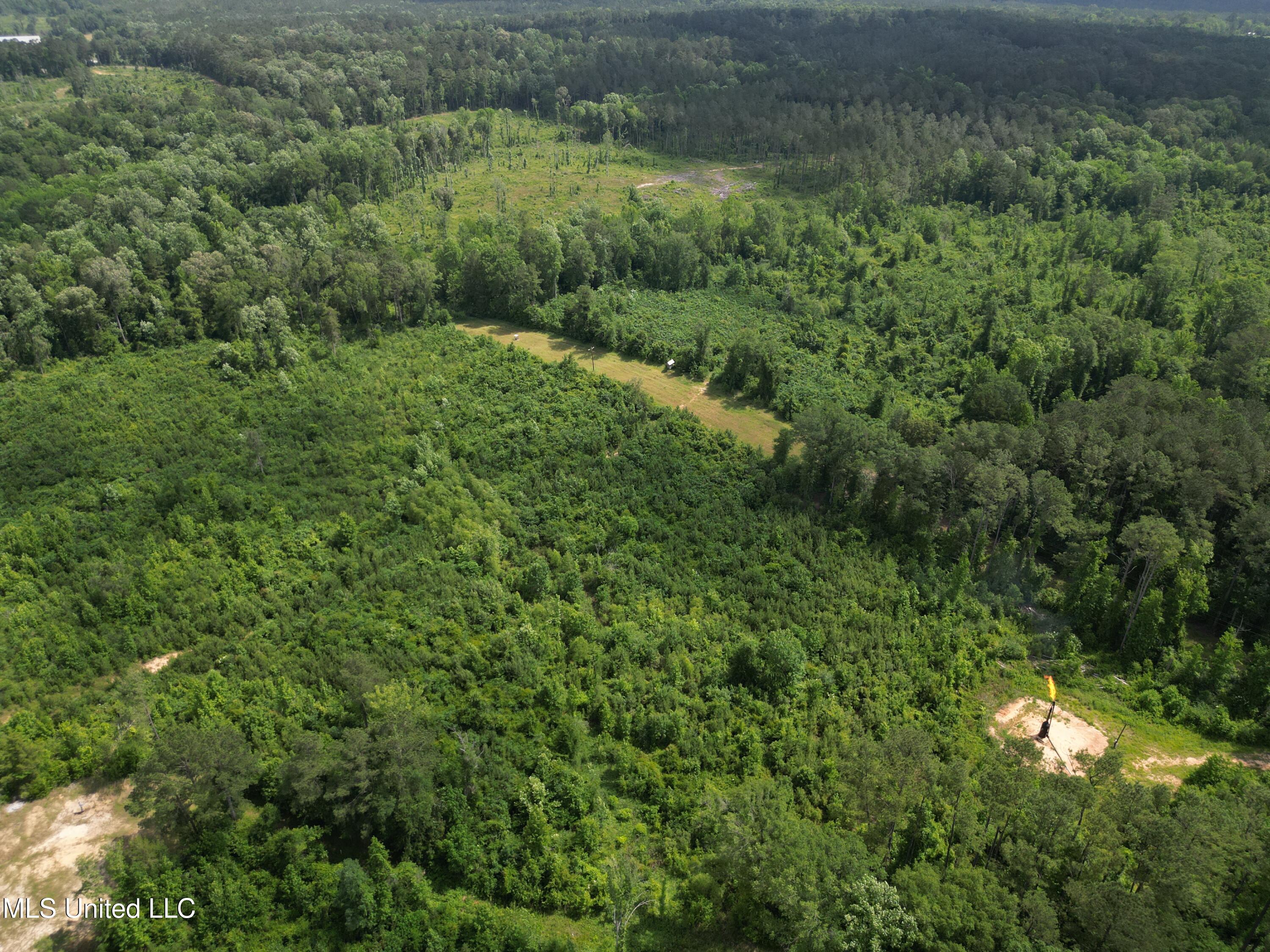 2337 Co Road Bay Springs, MS 39422 - Photo 13 of 26 jones pic 13