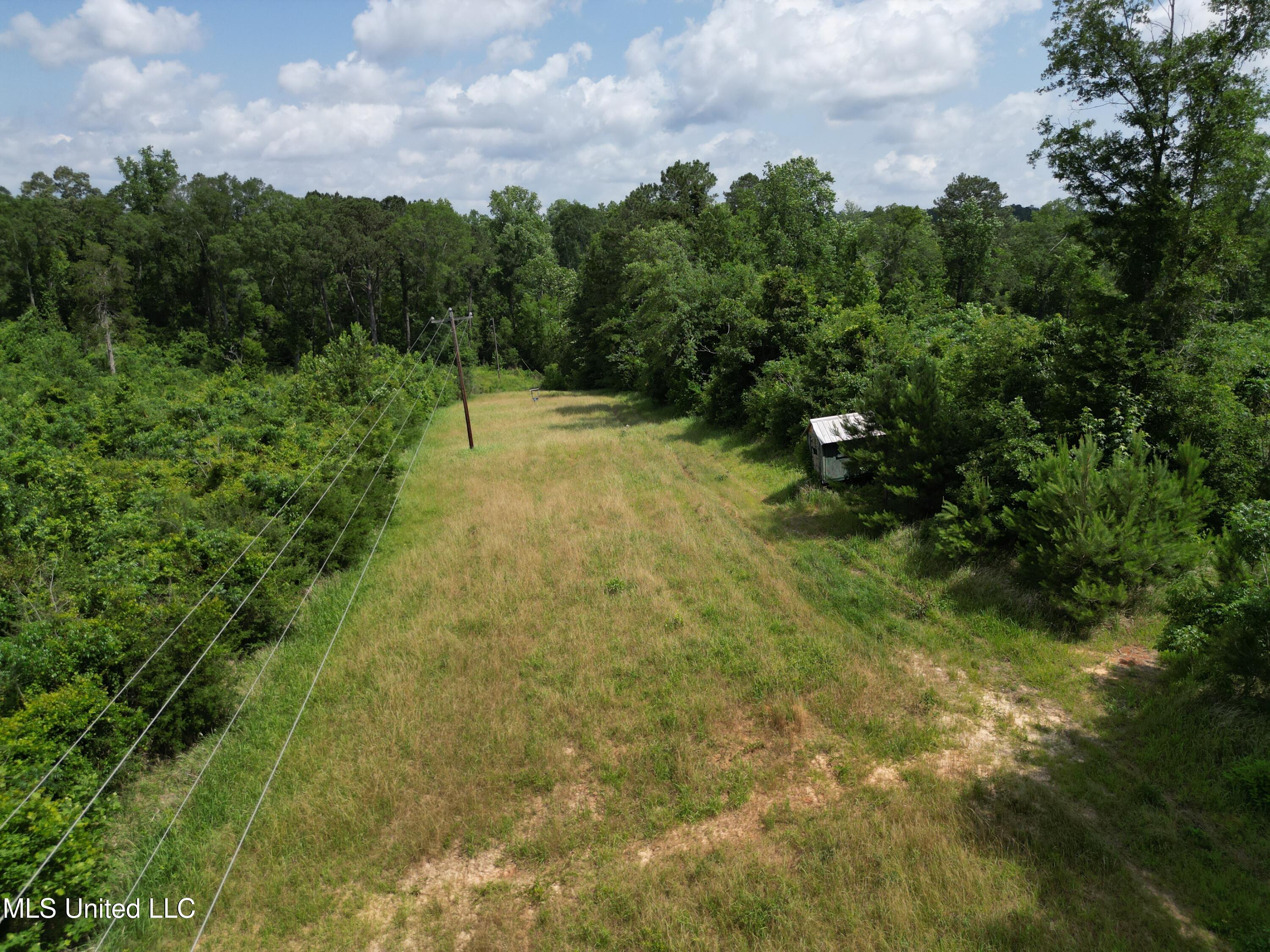2337 Co Road Bay Springs, MS 39422 - Photo 14 of 26 jones pic 14