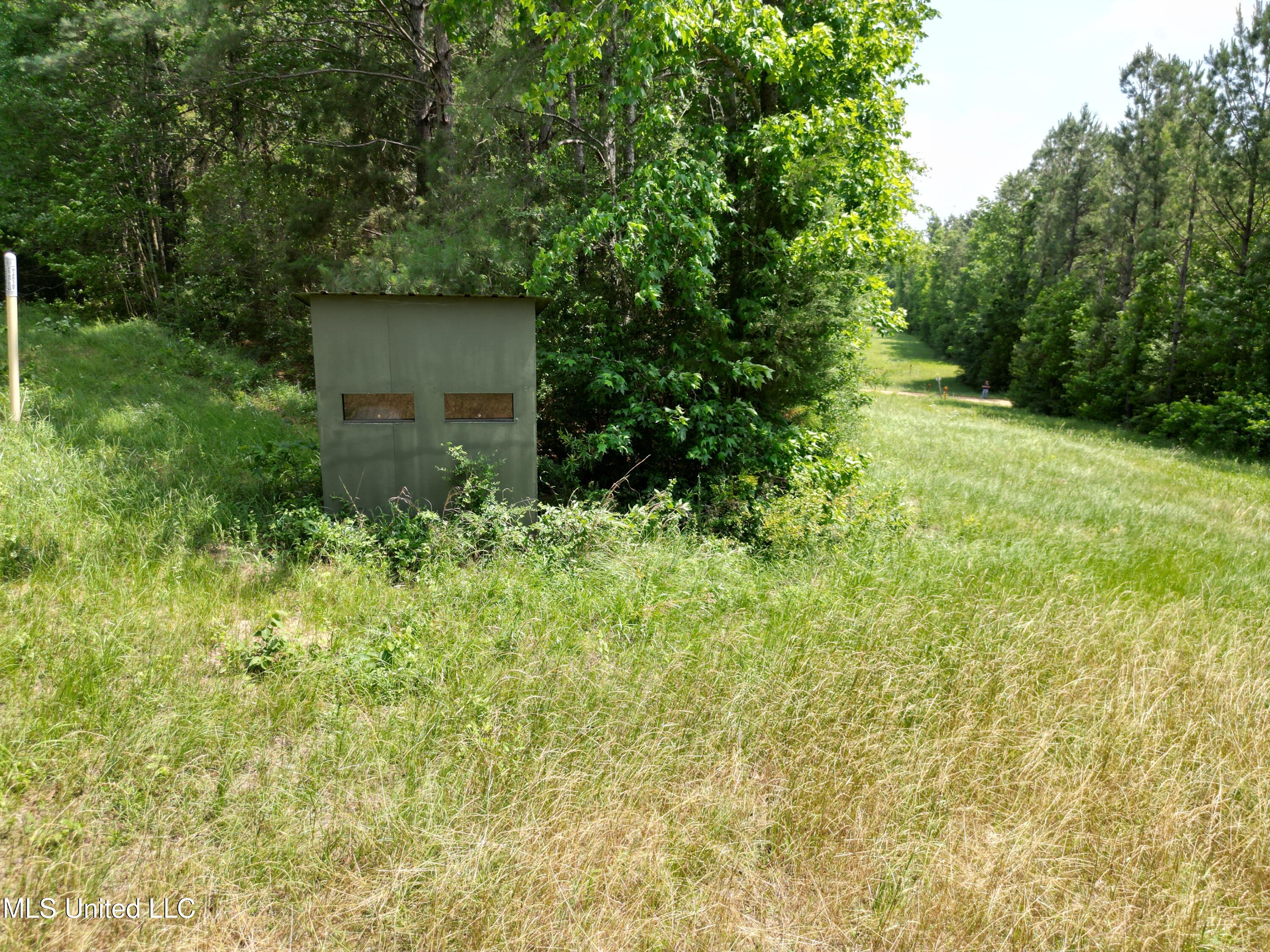 2337 Co Road Bay Springs, MS 39422 - Photo 16 of 26 jones pic 16