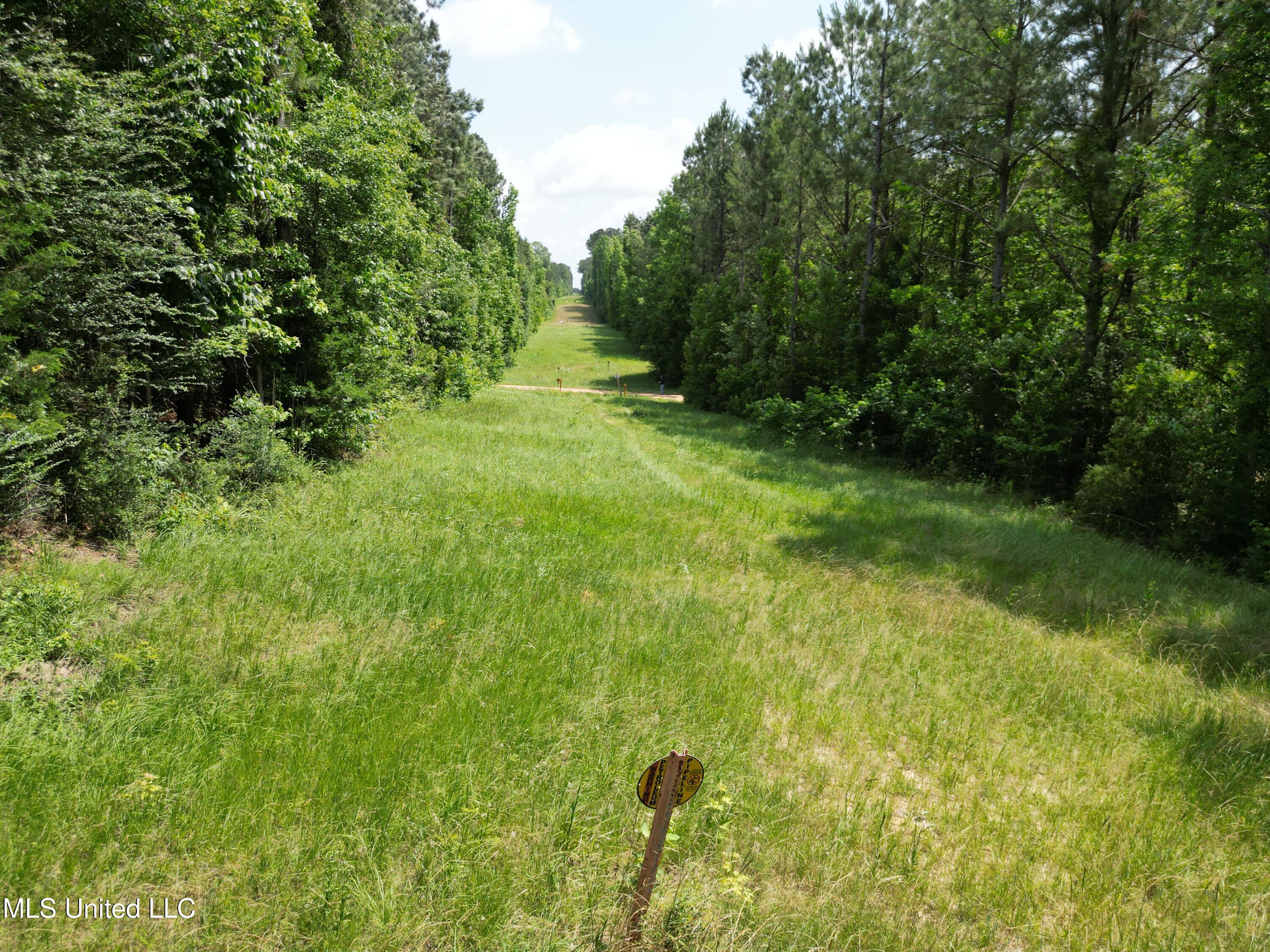 2337 Co Road Bay Springs, MS 39422 - Photo 17 of 26 jones pic 17