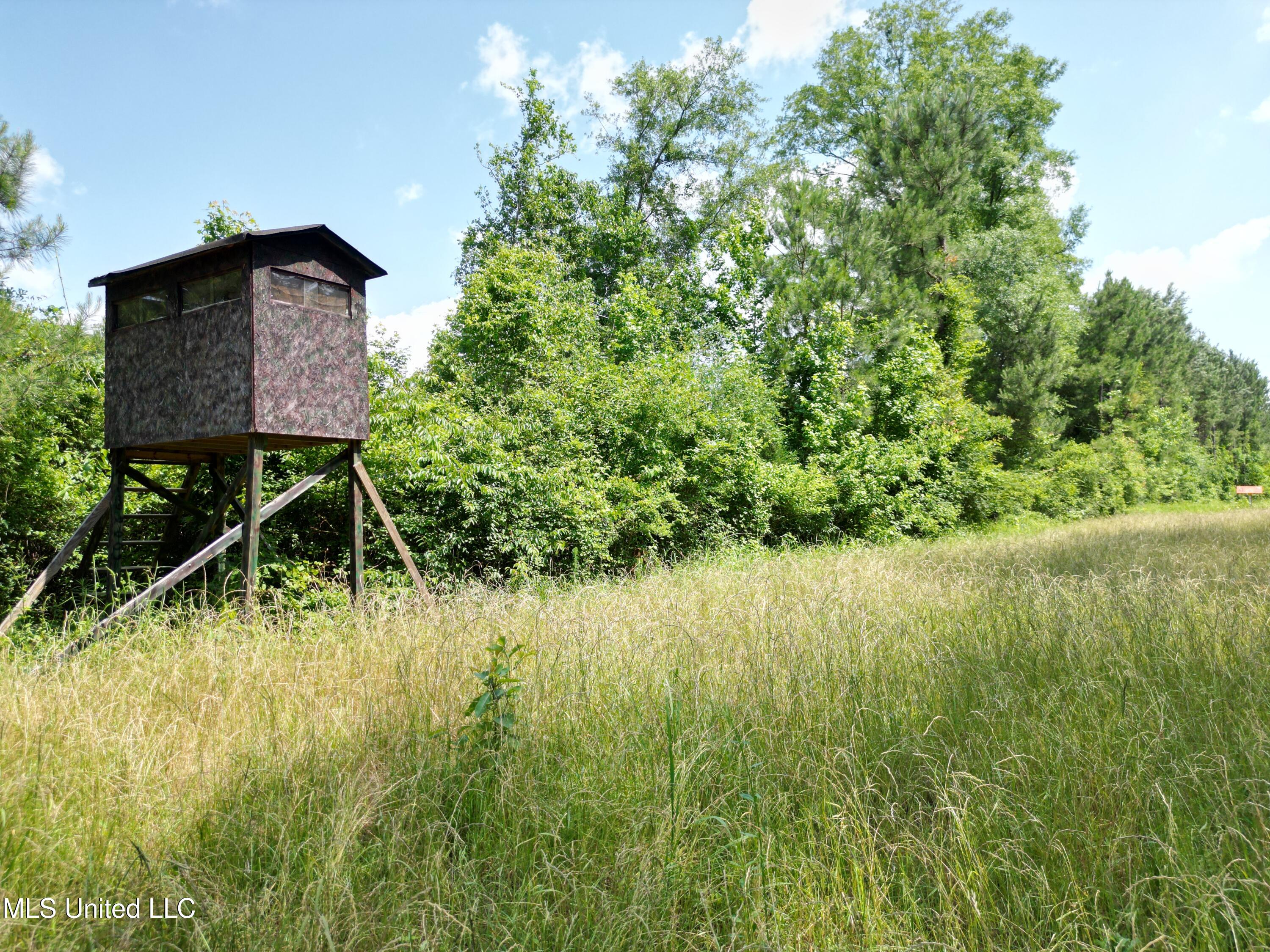 2337 Co Road Bay Springs, MS 39422 - Photo 19 of 26 jones pic 19