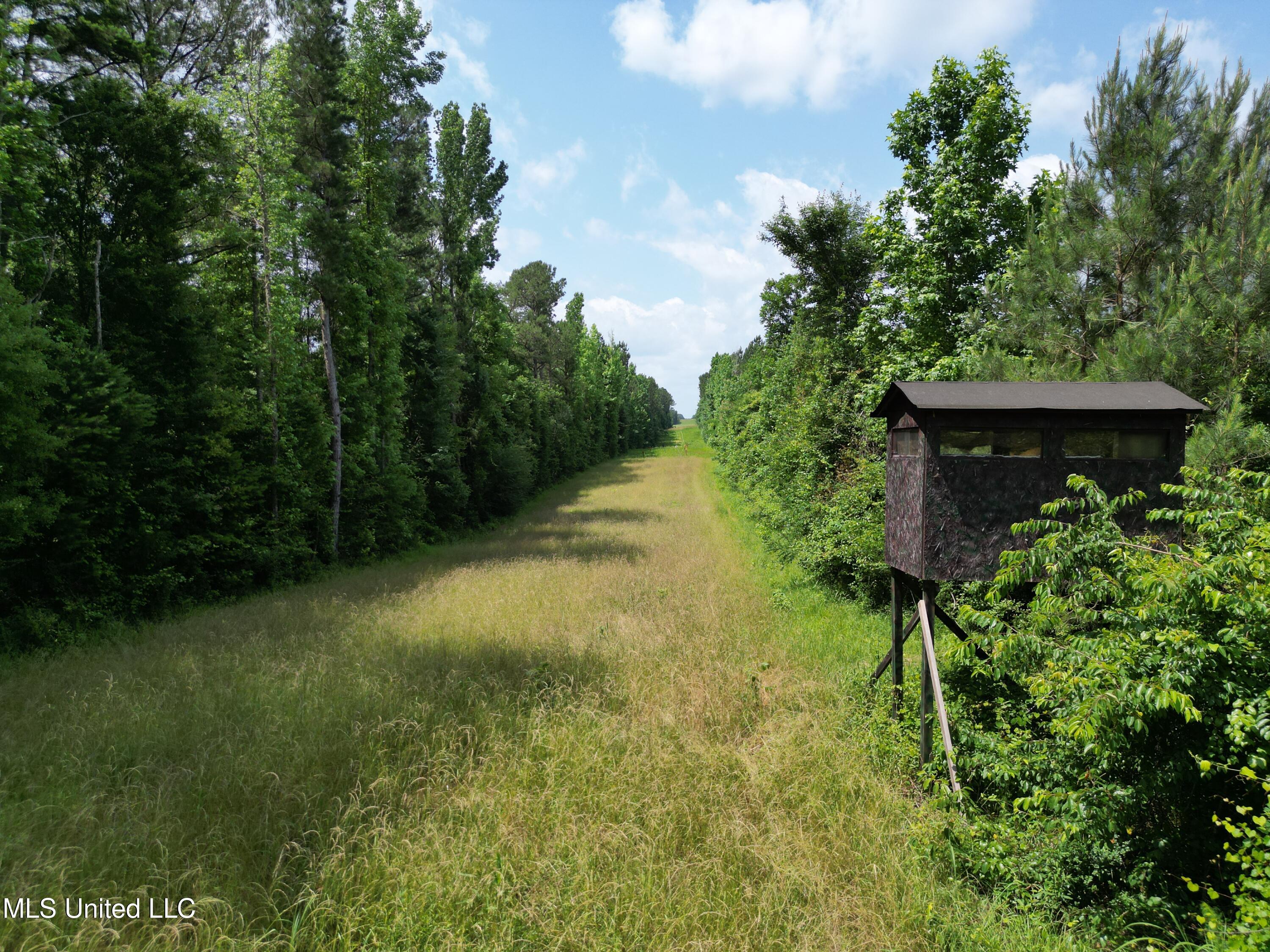 2337 Co Road Bay Springs, MS 39422 - Photo 20 of 26 jones pic 20