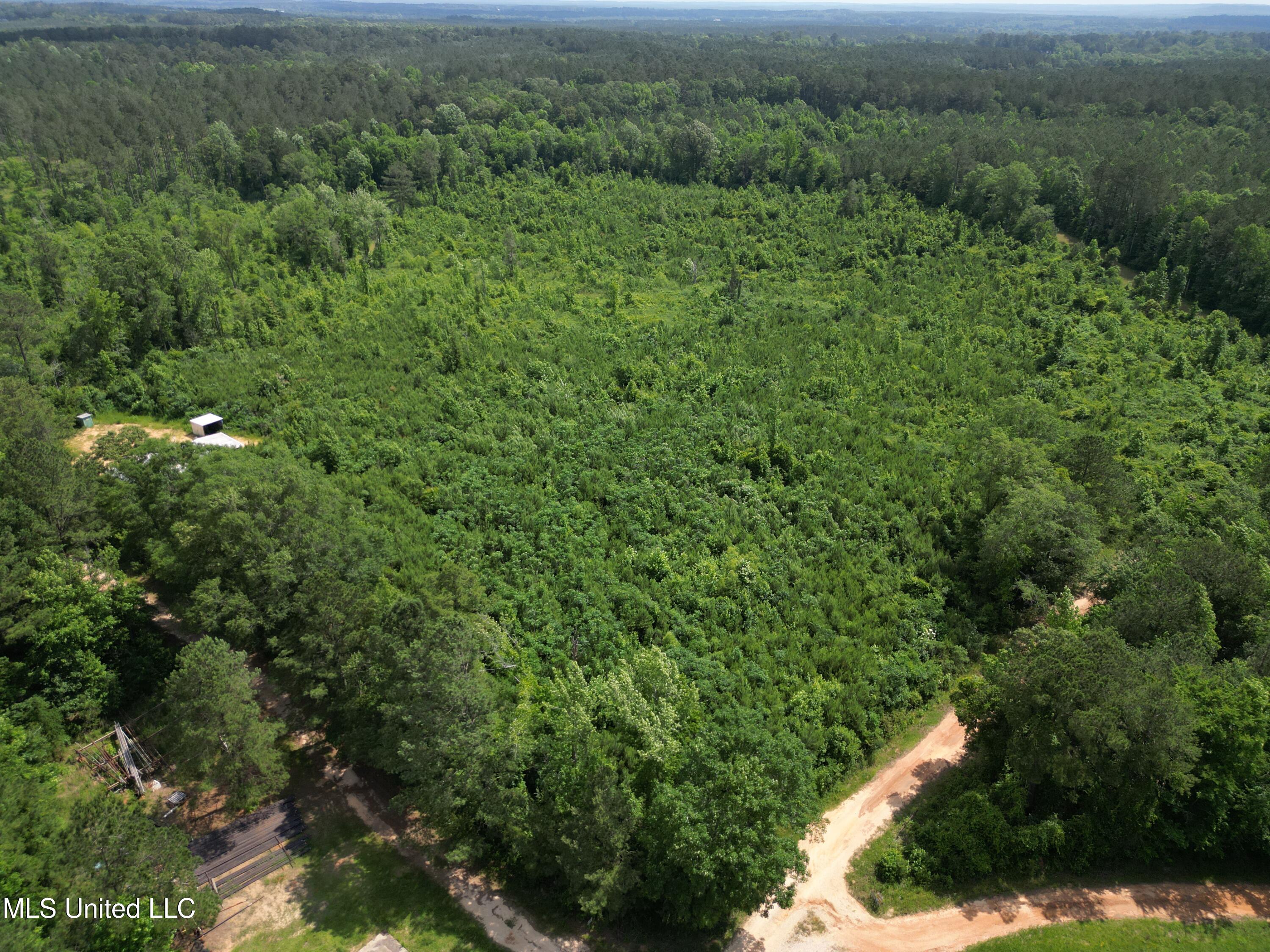 2337 Co Road Bay Springs, MS 39422 - Photo 2 of 26 jones pic 2