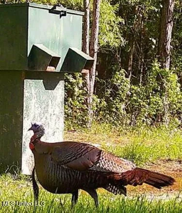 $279,400 | 2337 Co Road, Bay Springs, MS 39422