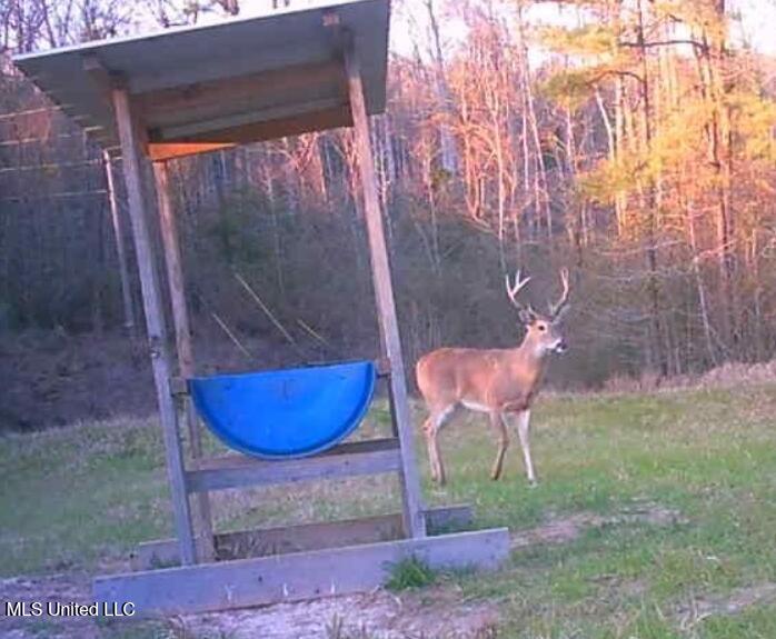 2337 Co Road Bay Springs, MS 39422 - Photo 25 of 26 jones pic 24