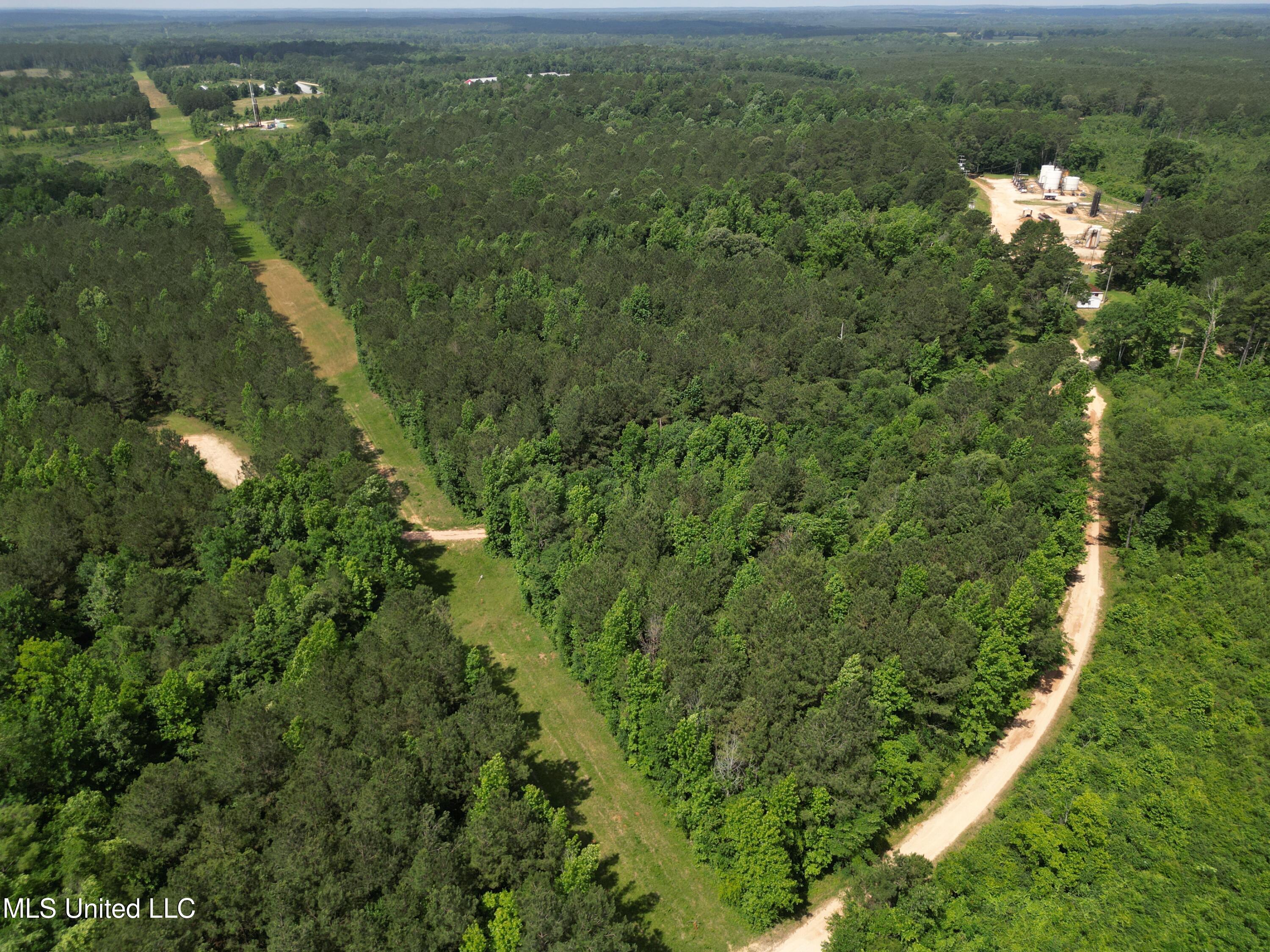 2337 Co Road Bay Springs, MS 39422 - Photo 4 of 26 jones pic 4