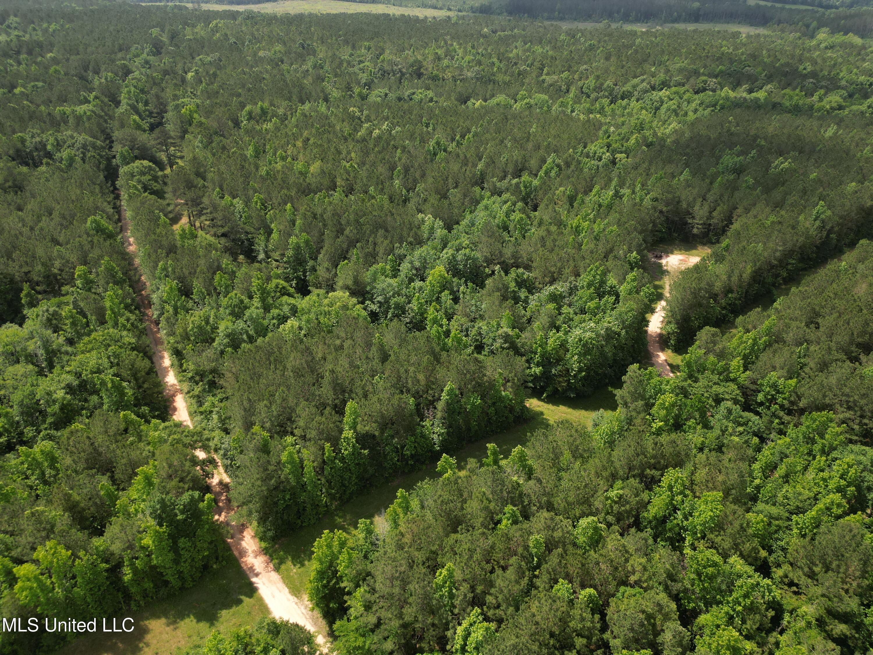 2337 Co Road Bay Springs, MS 39422 - Photo 5 of 26 jones pic 5